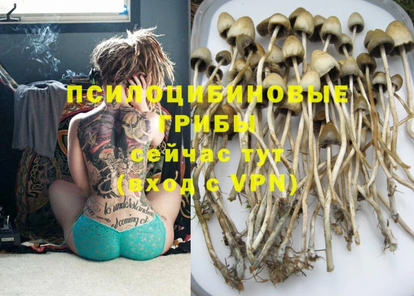 mdpv Бронницы