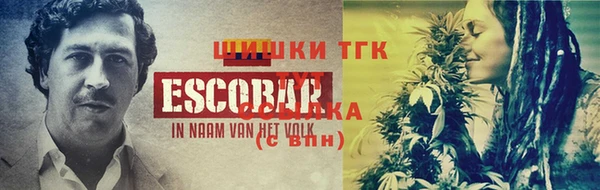 бошки Бородино
